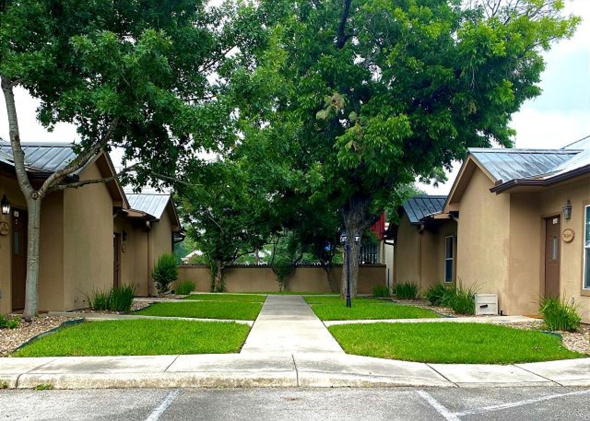 drive through safari new braunfels